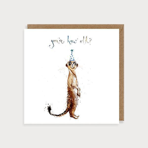 Louise Mulgrew Card - How Old? Meerkats