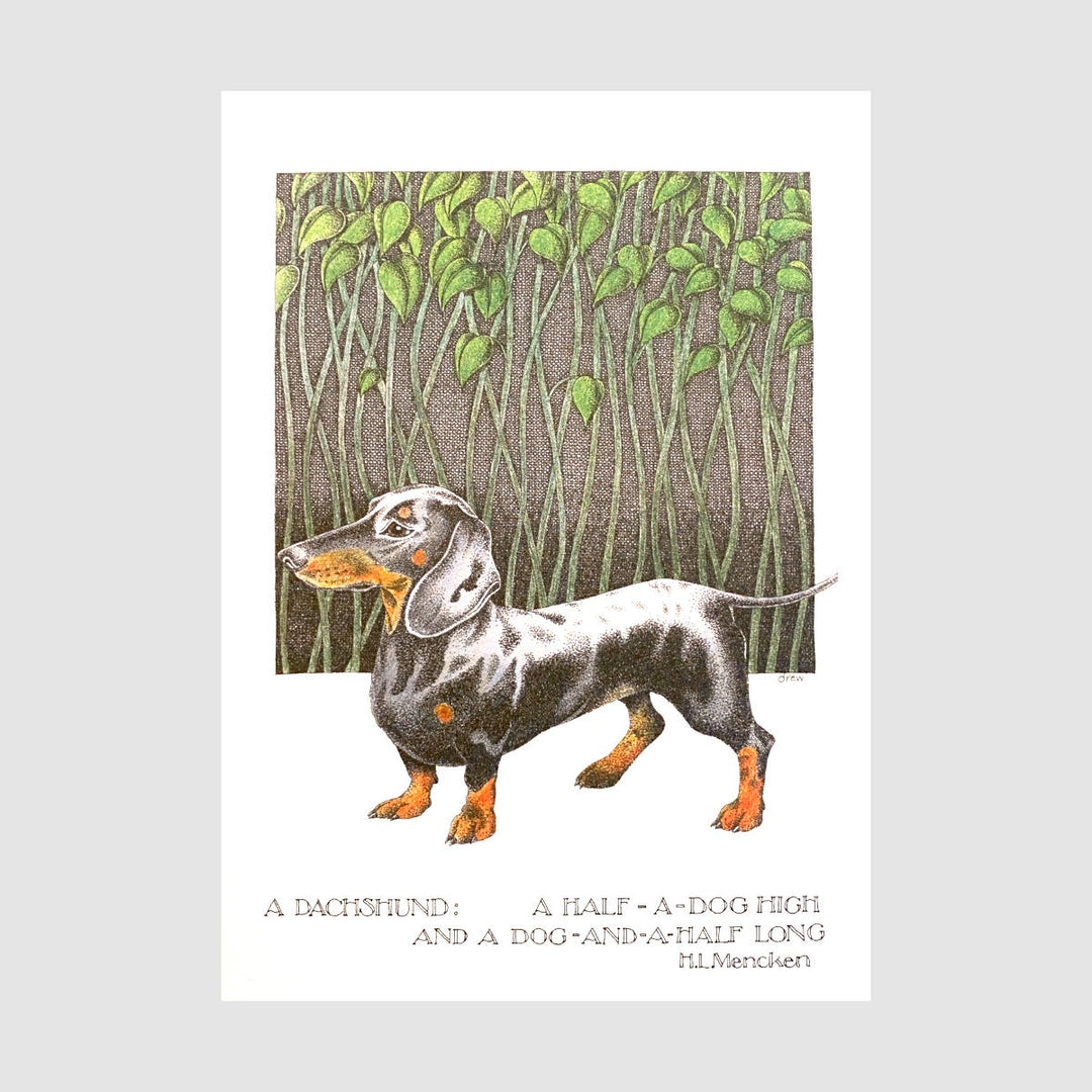 Simon Drew Card - Dachshund