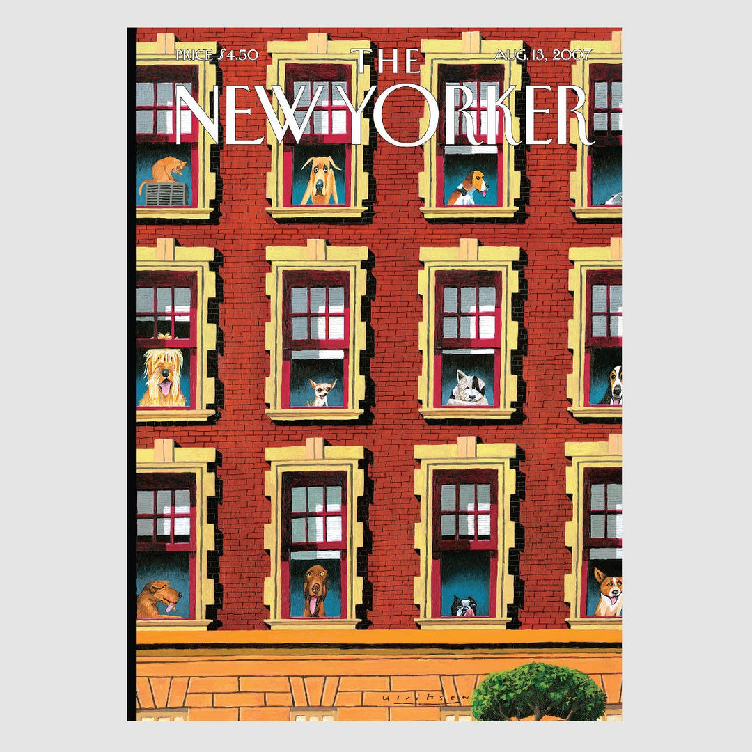 The New Yorker Card - Dogs in the Window