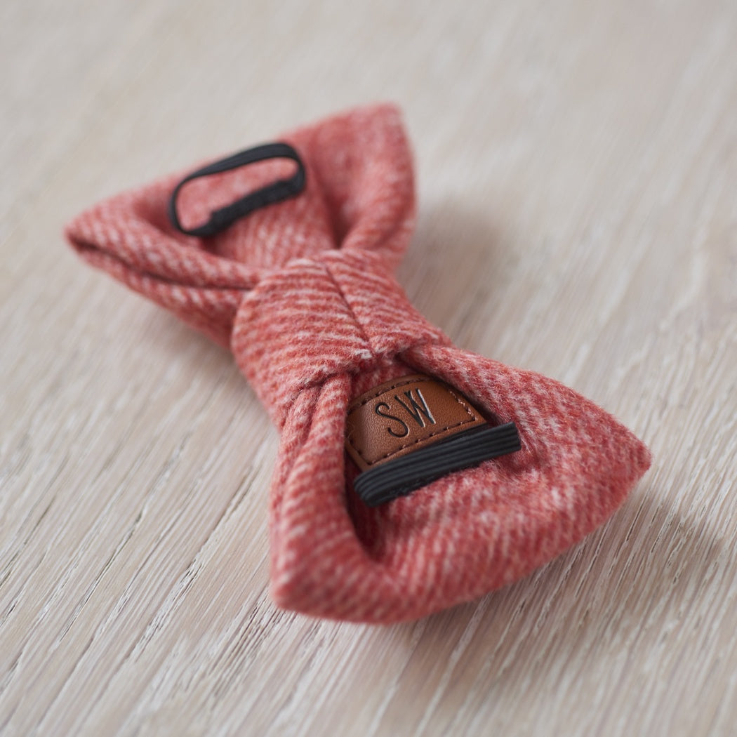 Dog Bow Tie - Orange Tweed - Sweet William