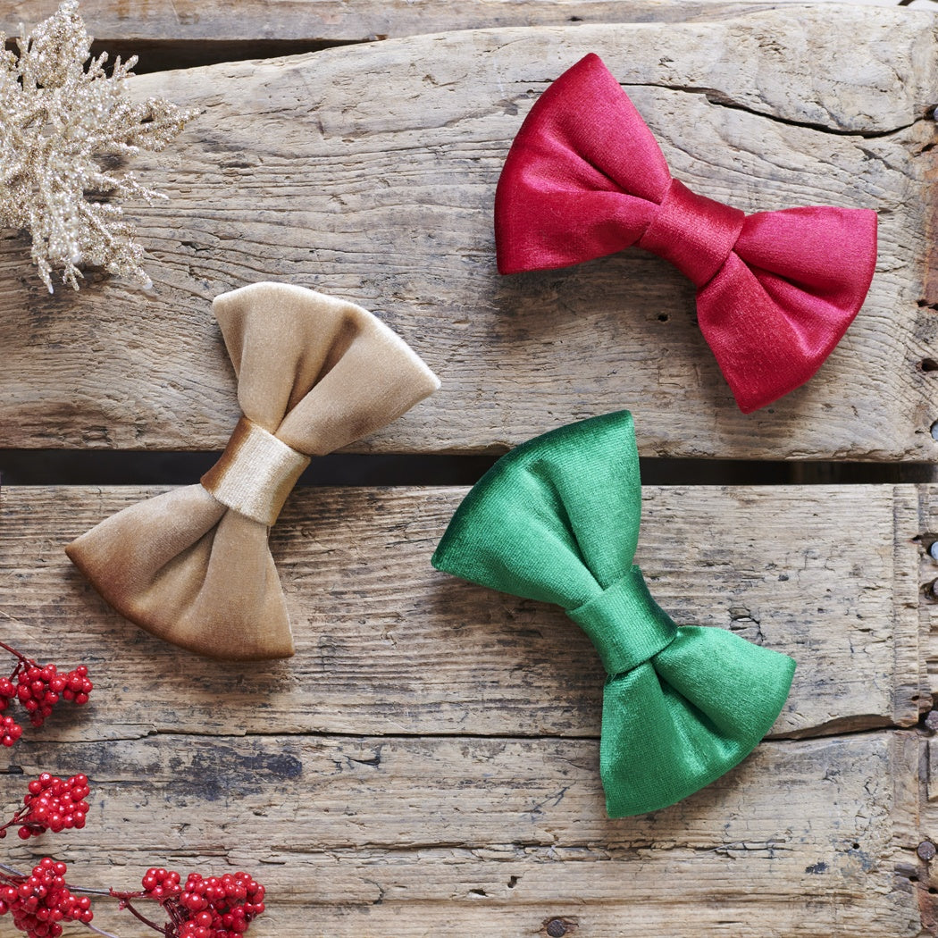 Dog Bow Tie - Christmas Gold Velvet - Sweet William