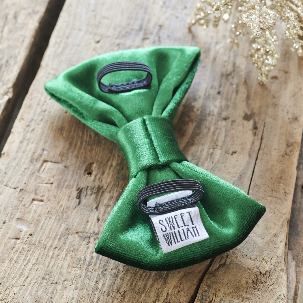 Dog Bow Tie - Christmas Green Velvet - Sweet William