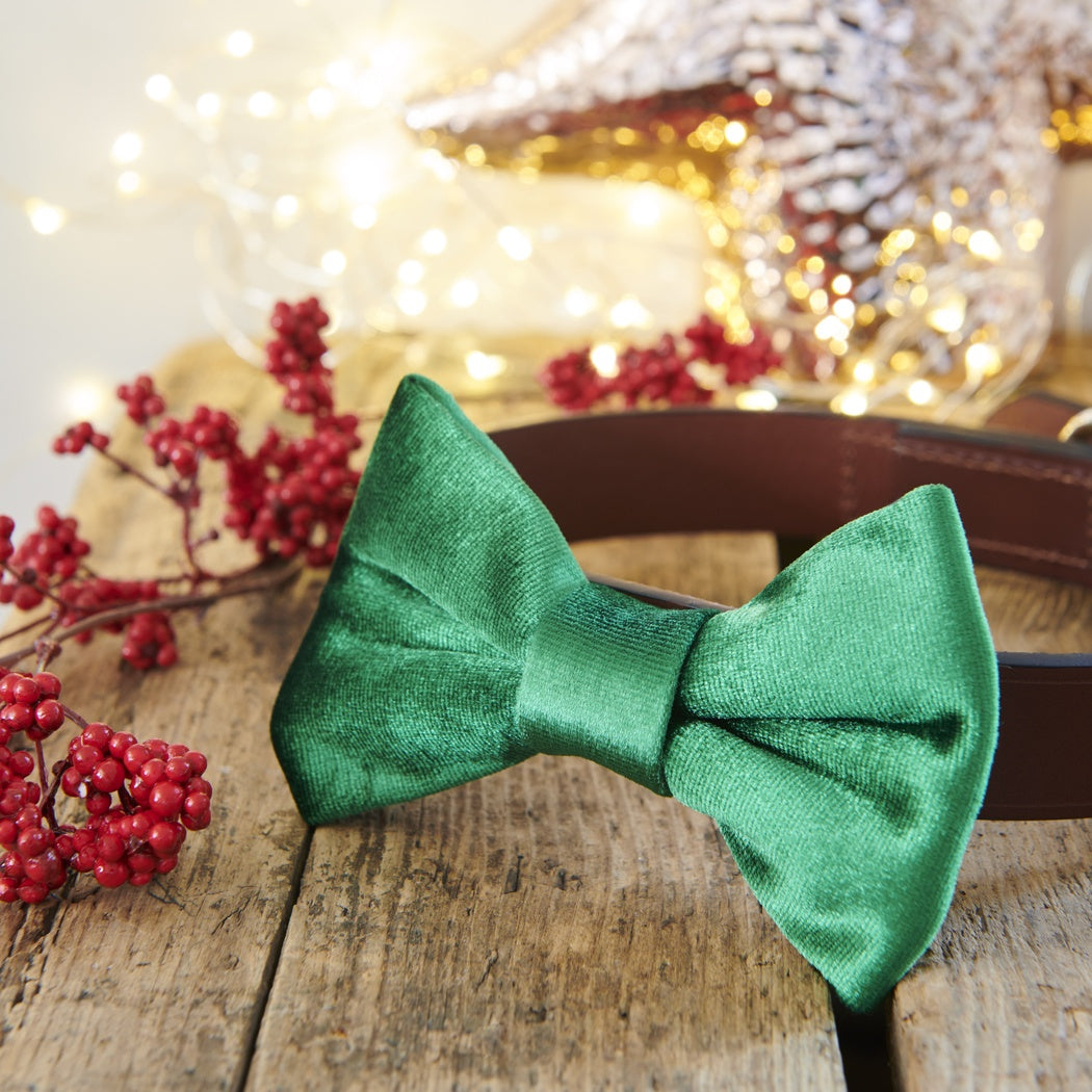 Dog Bow Tie - Christmas Green Velvet - Sweet William