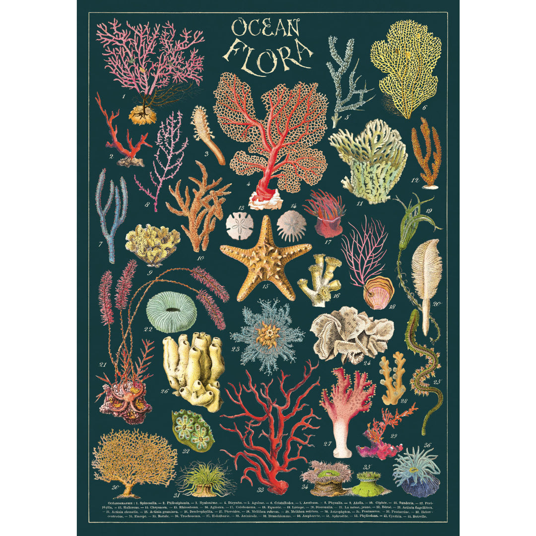 Ocean Flora Poster