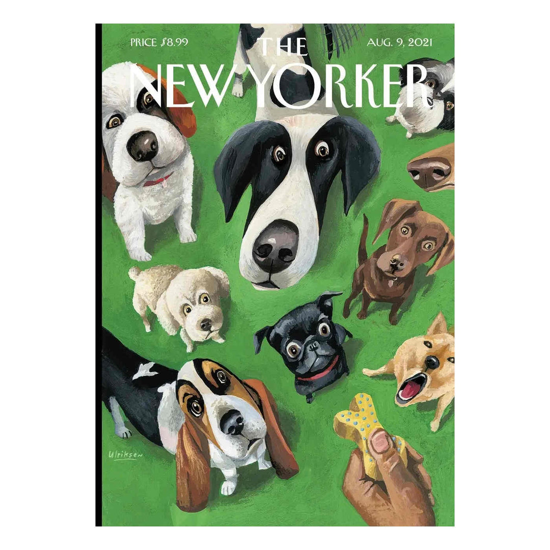 The New Yorker Card - Summer Treat