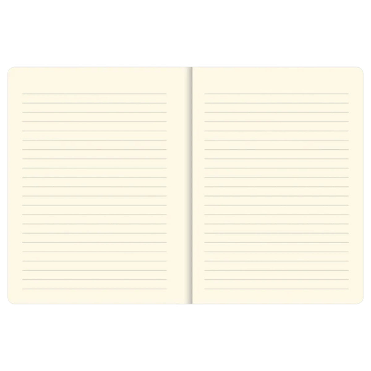 Journal, Small - Blue Agate - Peter Pauper Press