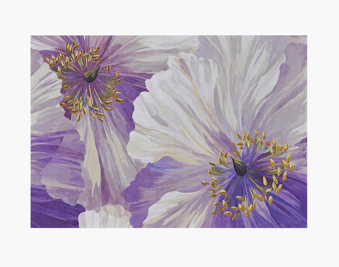 Boxed Everyday Note Cards - Poppies In Bloom