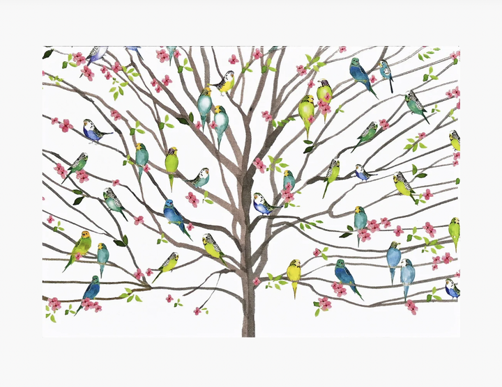 Boxed Everyday Note Cards - Tree Of Budgies