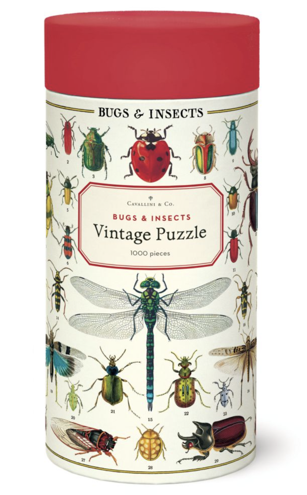 Cavallini & Co. 1000 Piece Puzzle - Bugs & Insects – Paper Republic