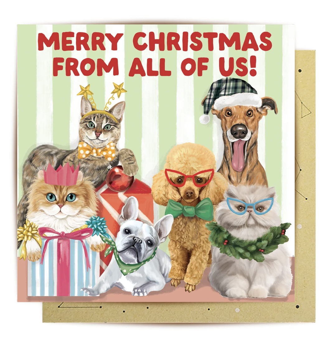 La La Land Christmas Card - From all Of Us Pets