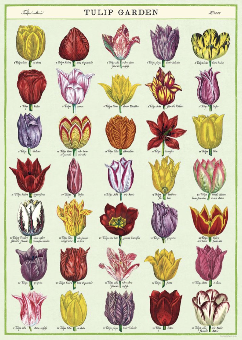 Tulip Garden Poster