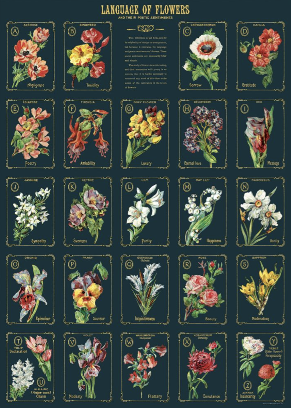 Language Of Flowers Dark Poster
