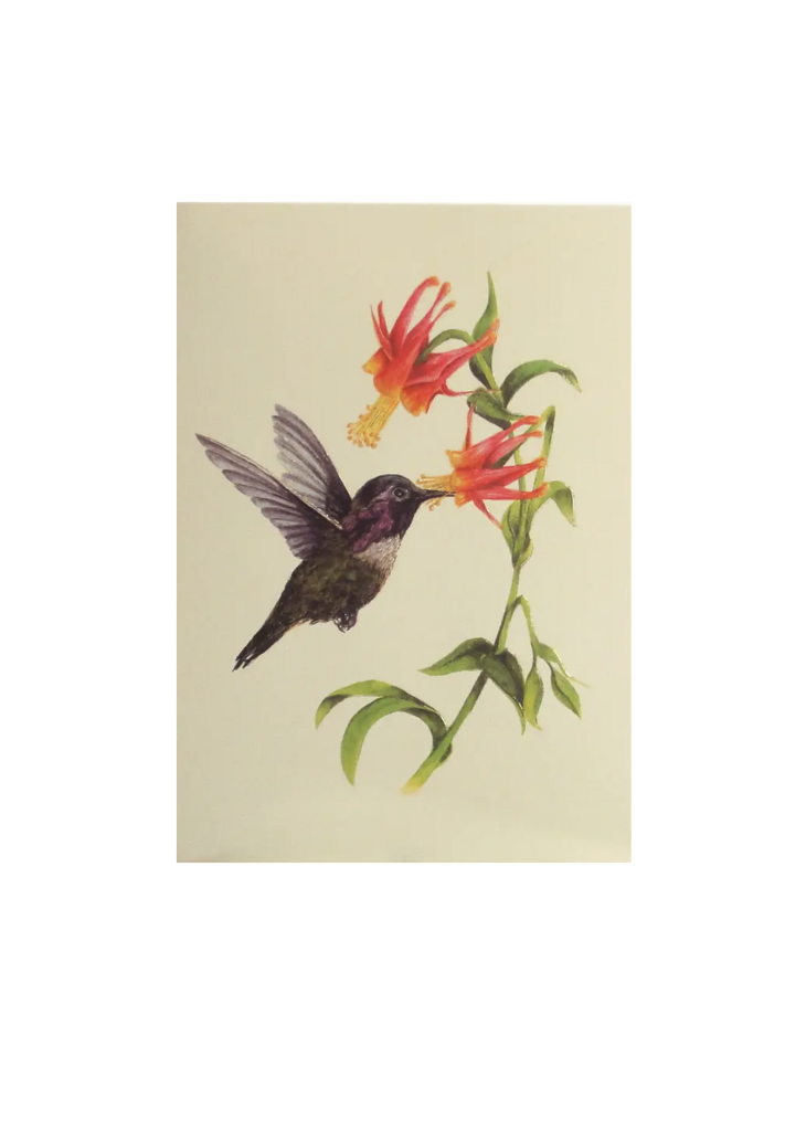 Paula Skene Card - Hummingbird