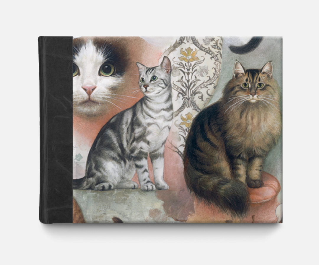 Bomo Photo Album Small - The Nine Lives Of Cats