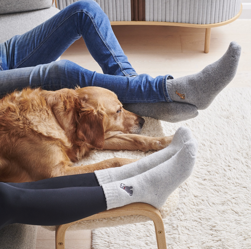 Sweet William Wool Socks - French Bulldog