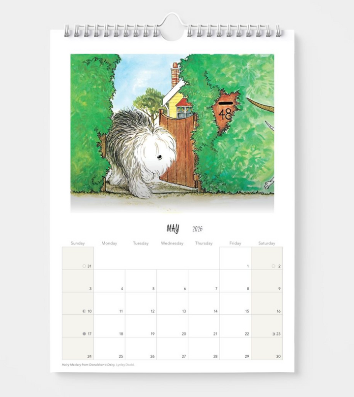 BIP 2026 Wall Calendar - Hairy Maclary