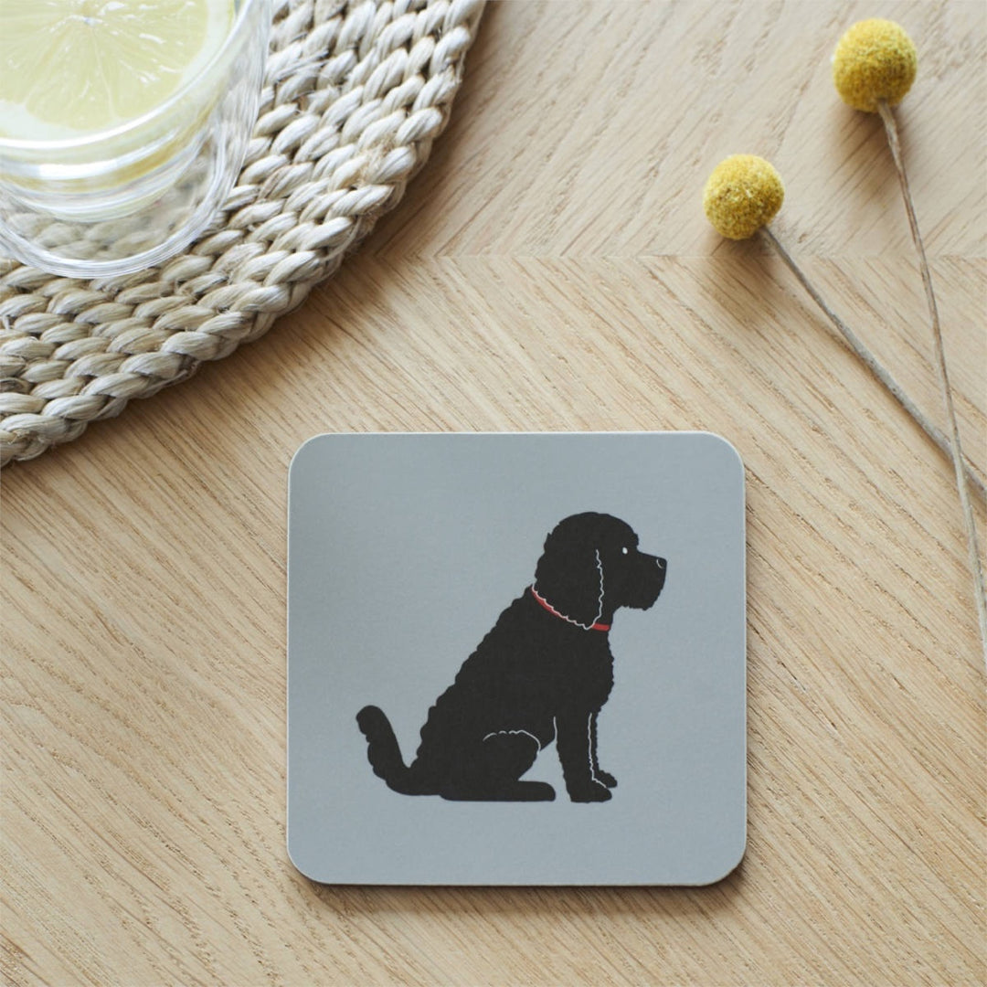 Single Coaster - Black Cockapoo/Labradoodle