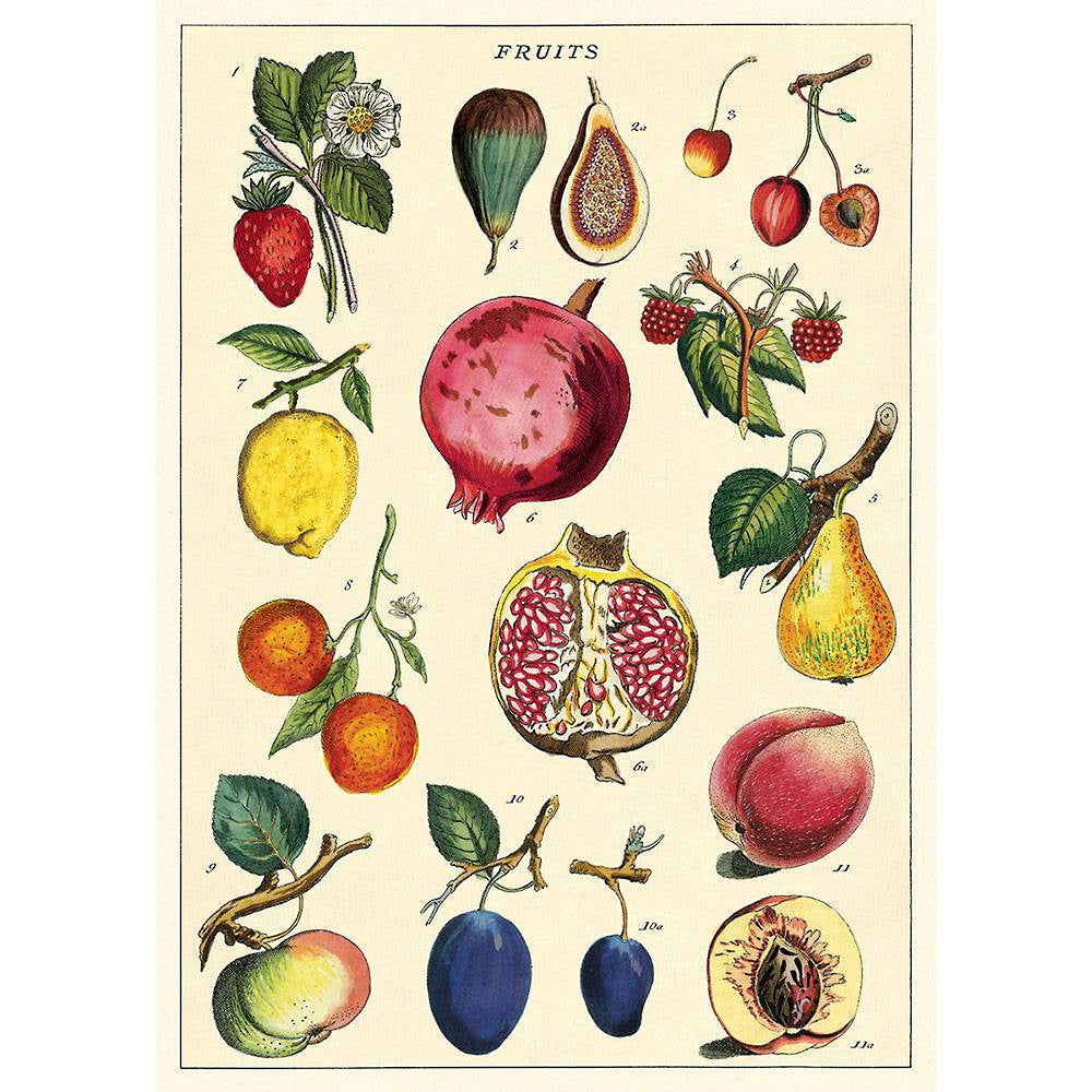 Cavallini & Co Poster - Fruit 2