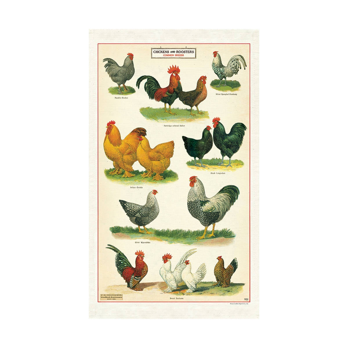 Tea Towel - Cavallini & Co. Chickens