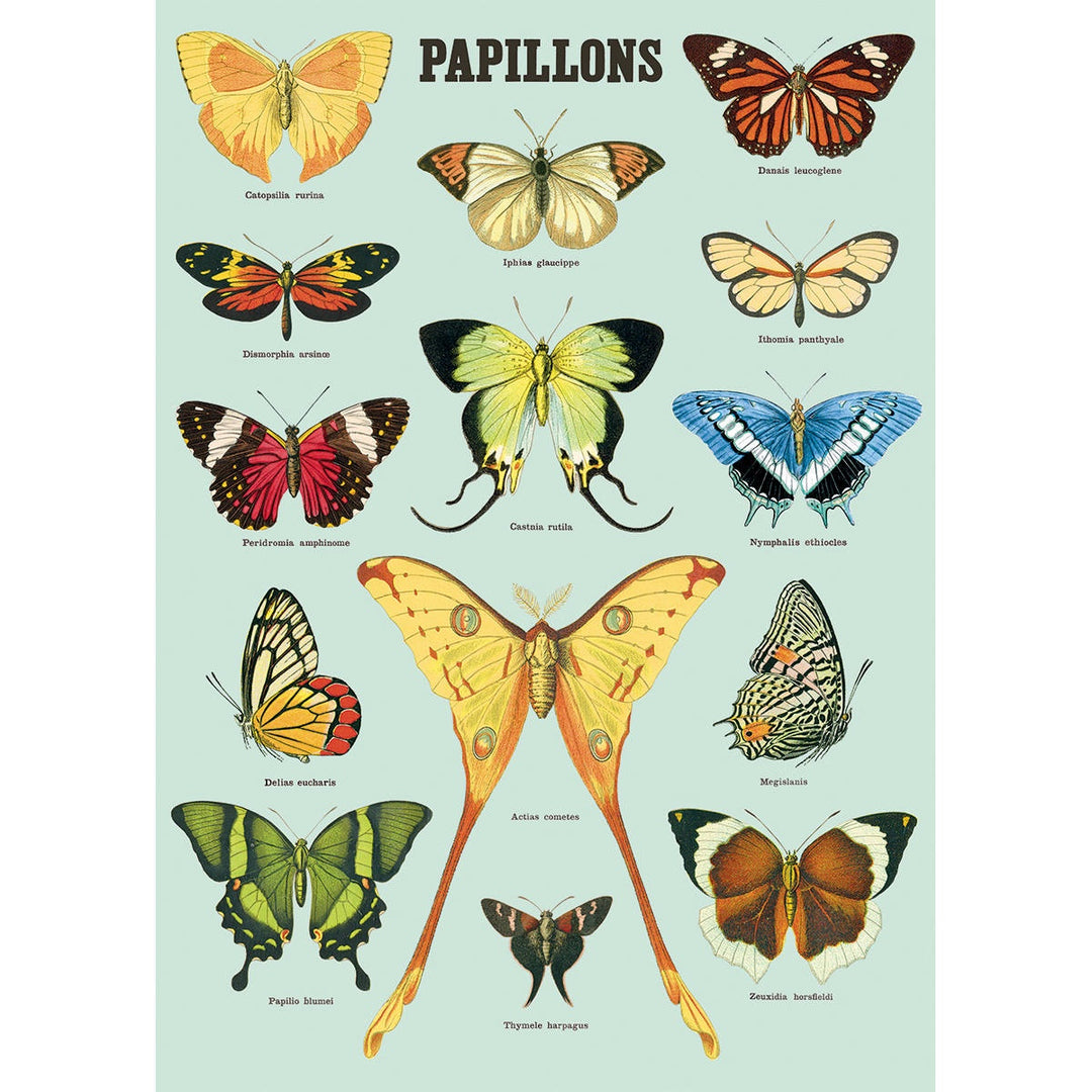 Papillons Poster