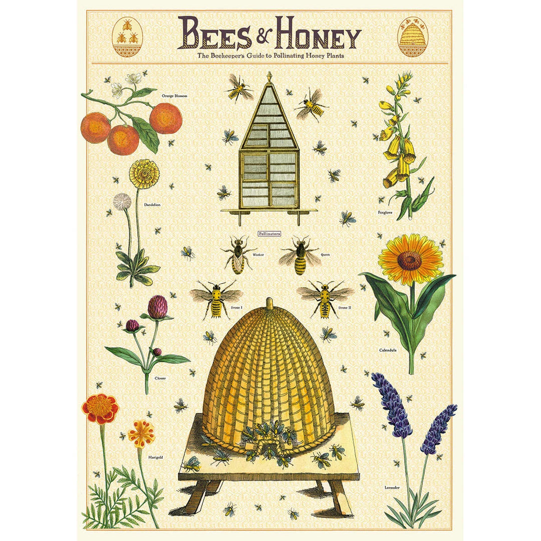 Bees & Honey 2 Poster