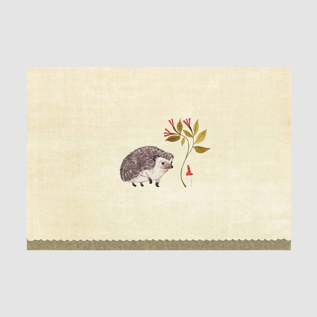 Boxed Everyday Note Cards - Hedgehog