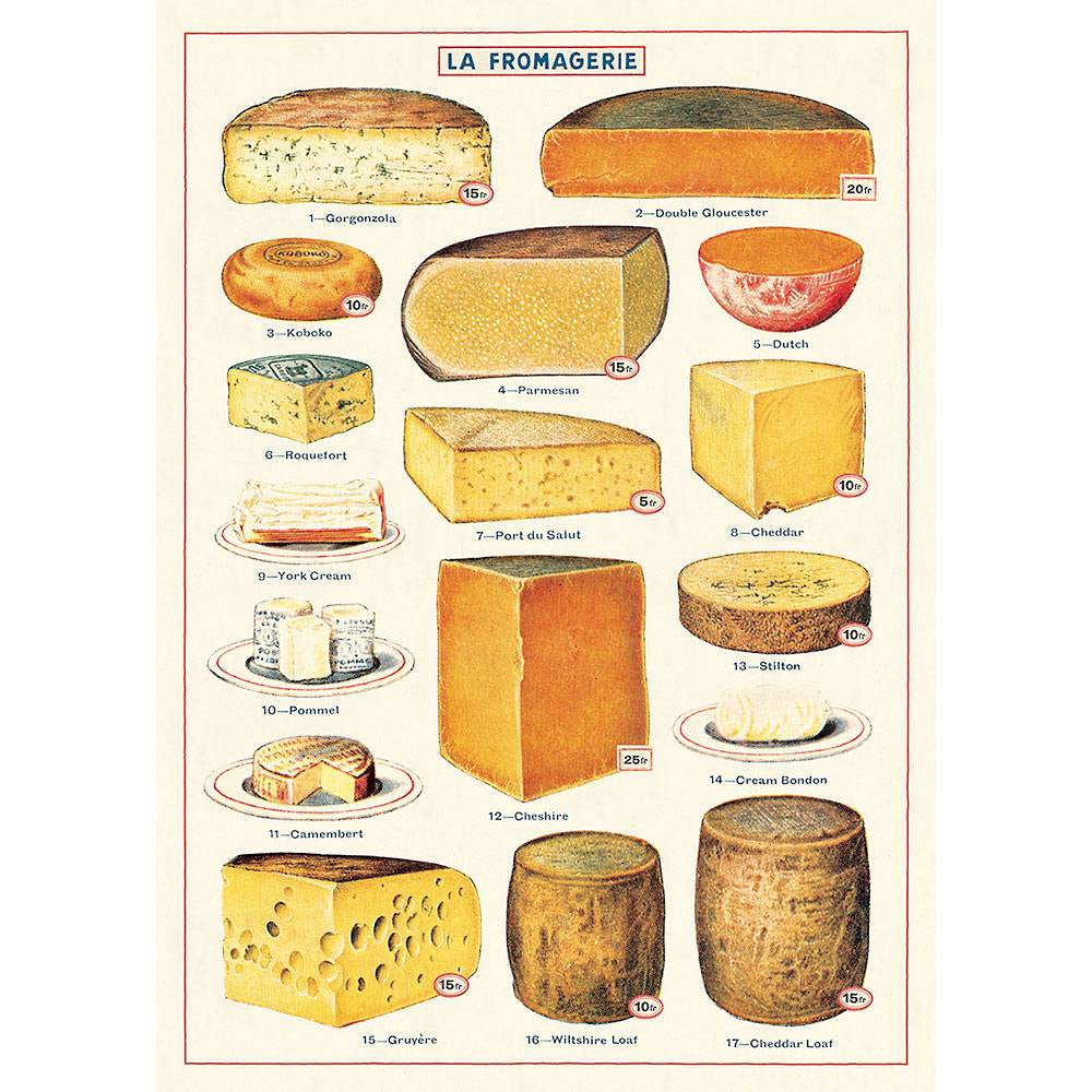 Cavallini & Co Poster - Cheese