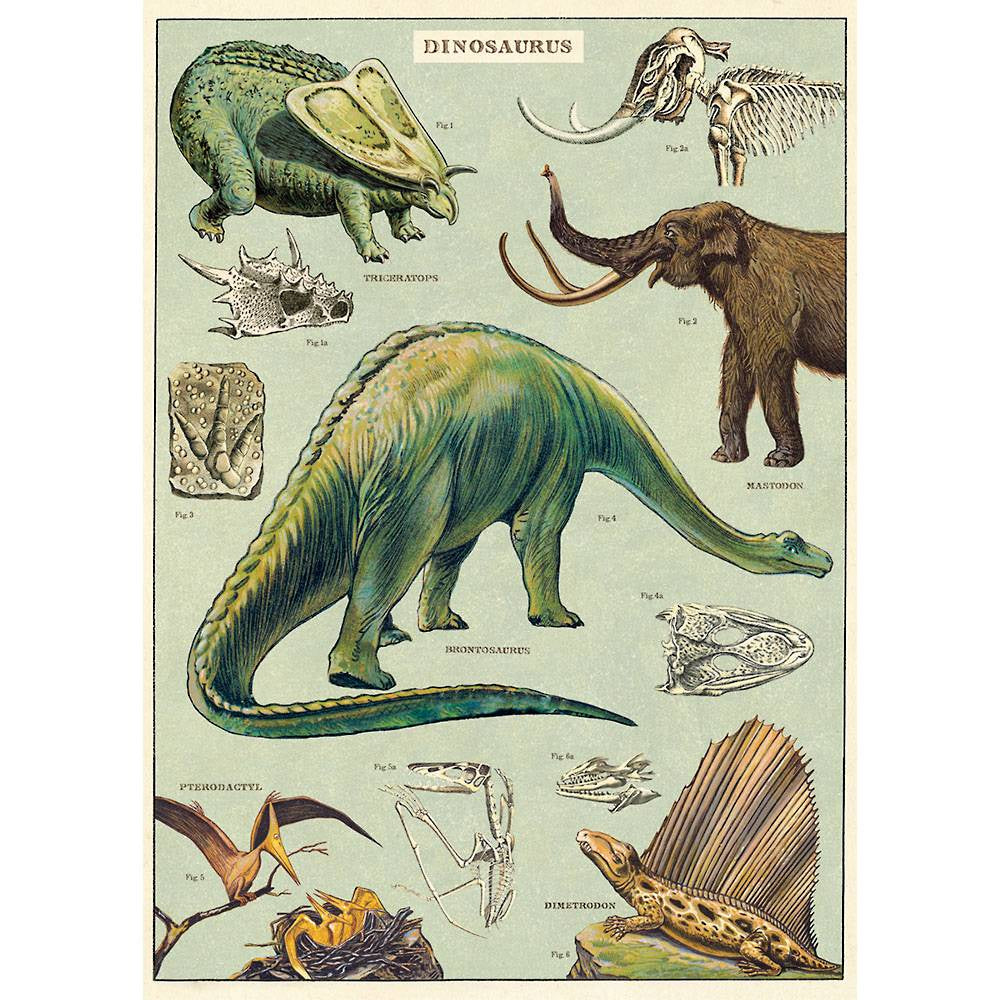Dinosaurs Poster