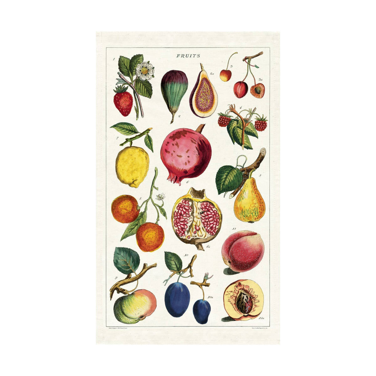 Tea Towel - Cavallini & Co. Fruit