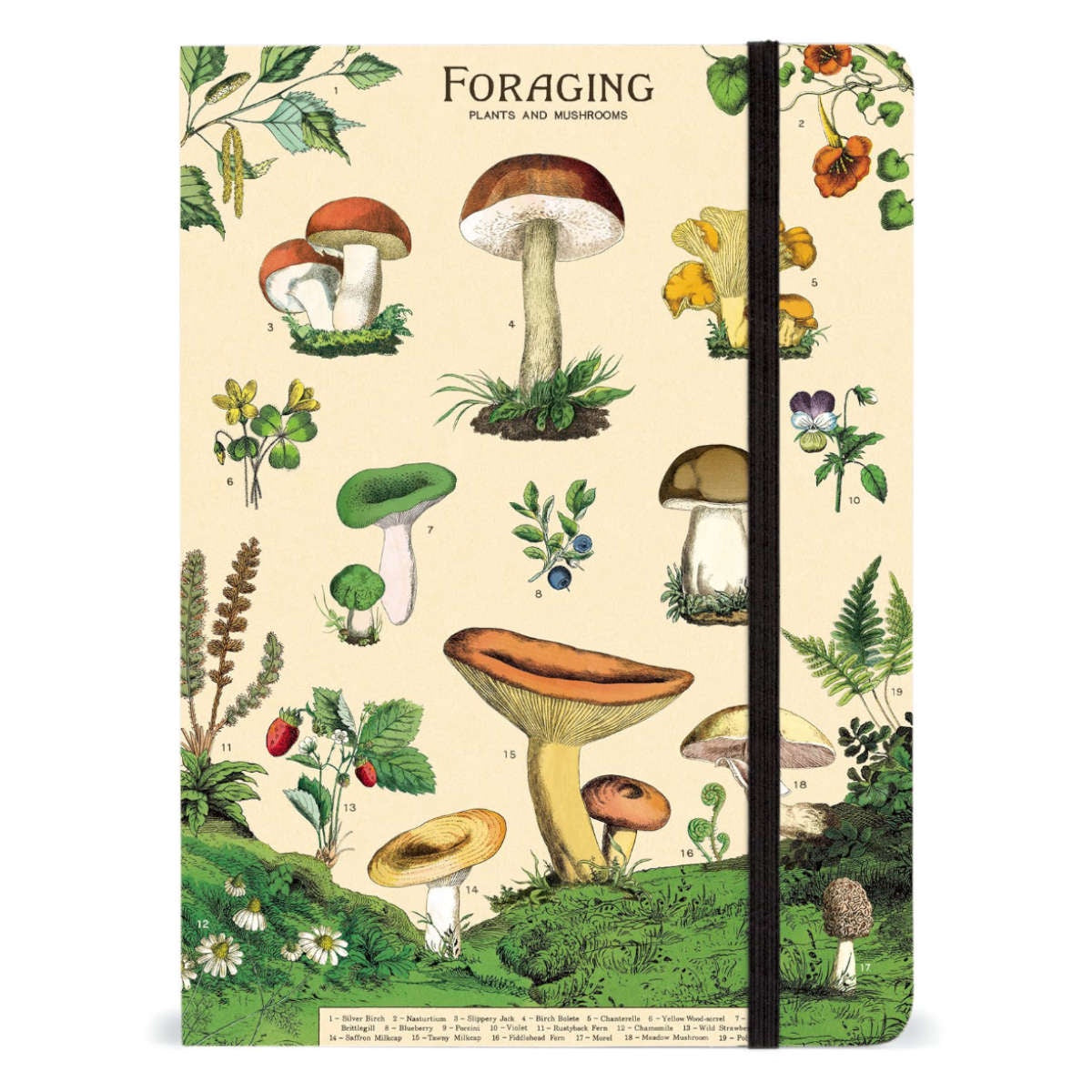 Notebook, Large - Cavallini & Co, Foraging