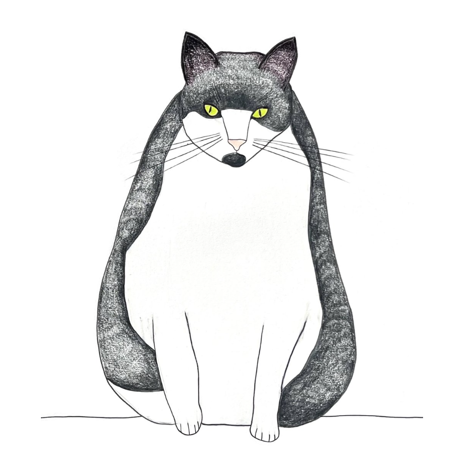 Cat Cat Series Card - Adam Jones