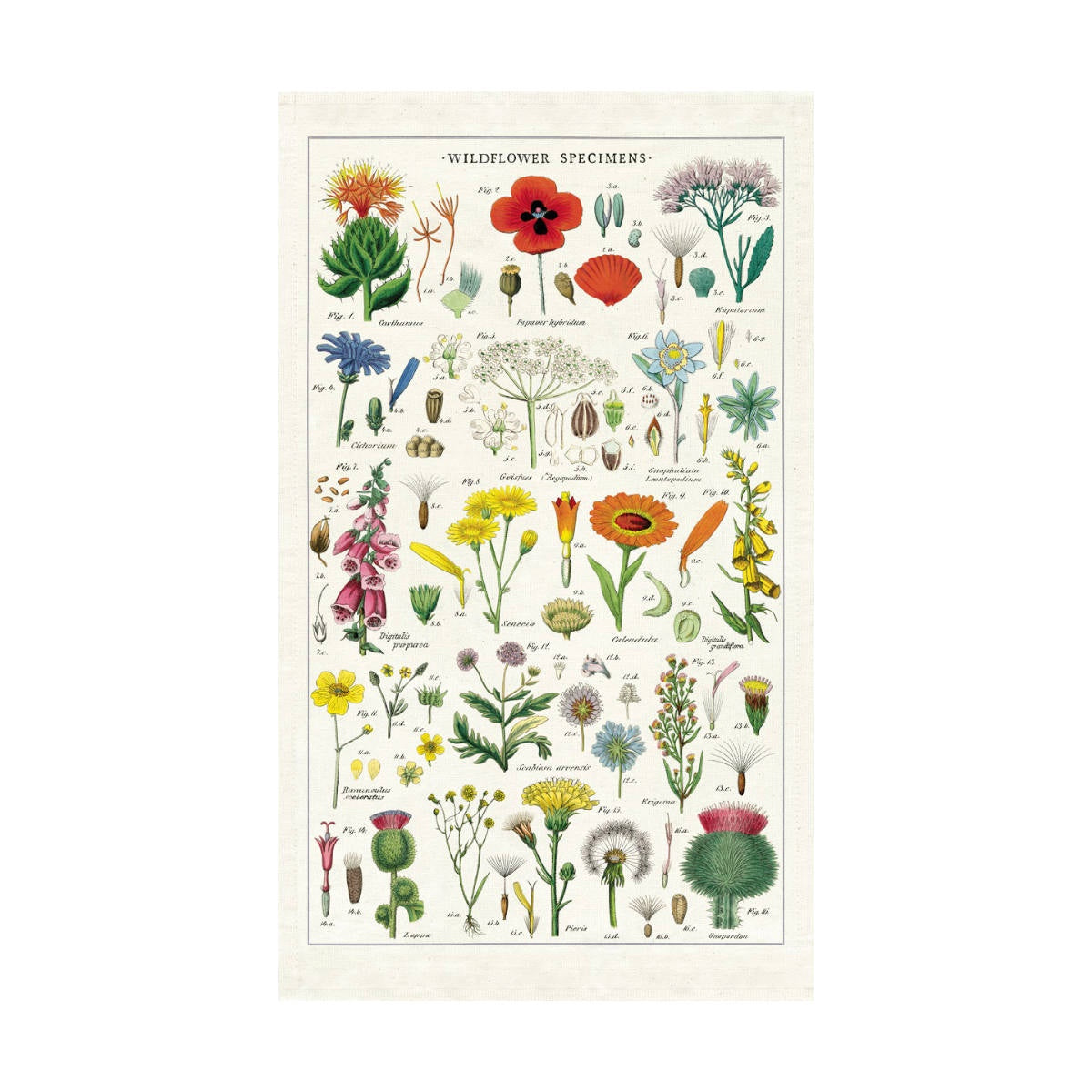Tea Towel - Cavallini & Co. Wildflowers