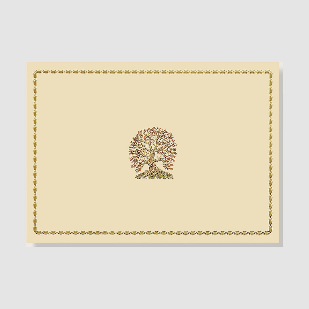 Boxed Everyday Note Cards - Tree of Life