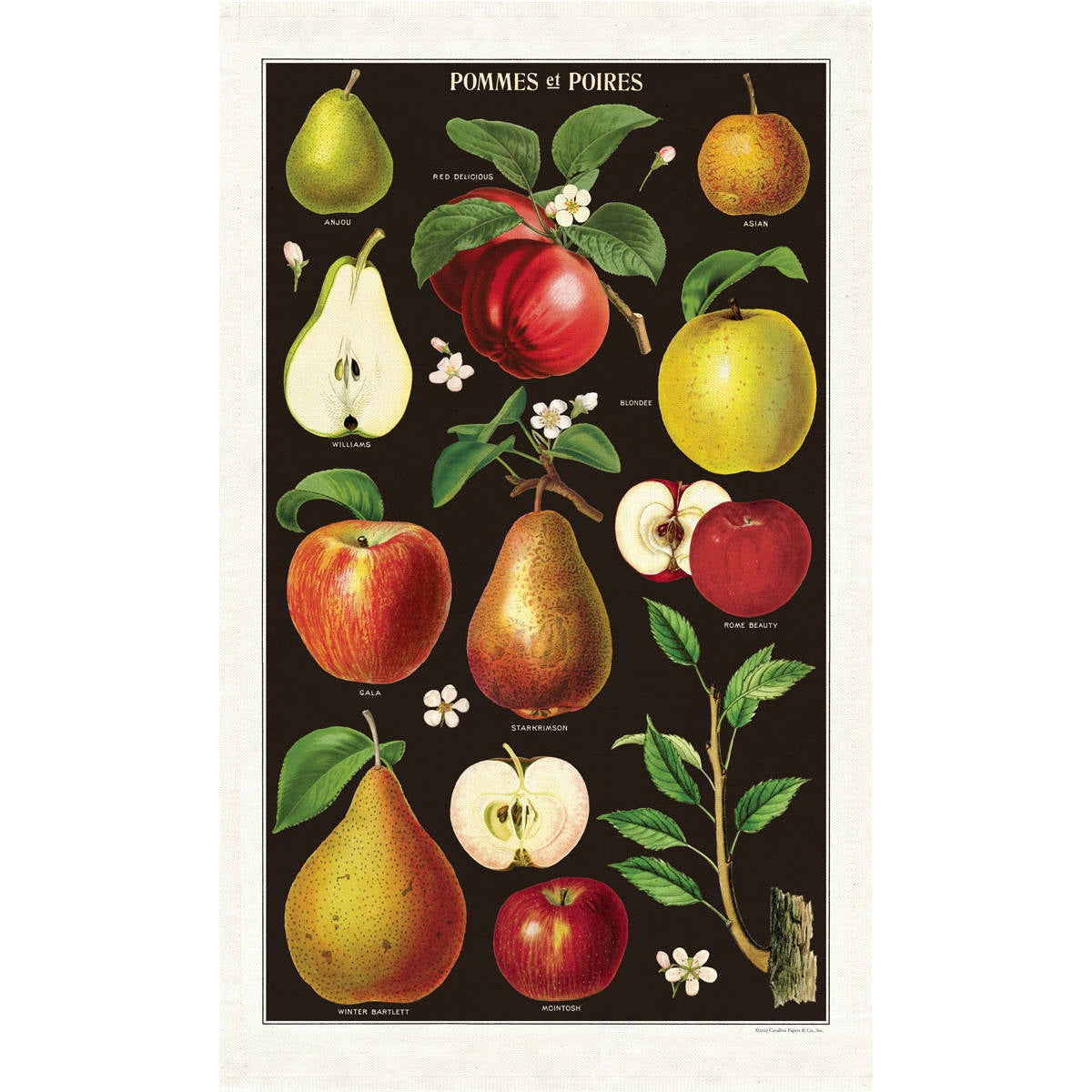 Tea Towel - Cavallini & Co. Apples & Pears