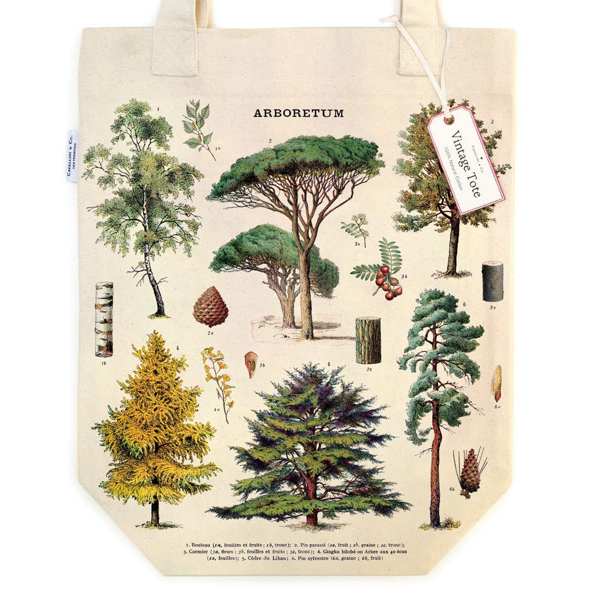 Vintage Tote Bag - Cavallini & Co. Arboretum