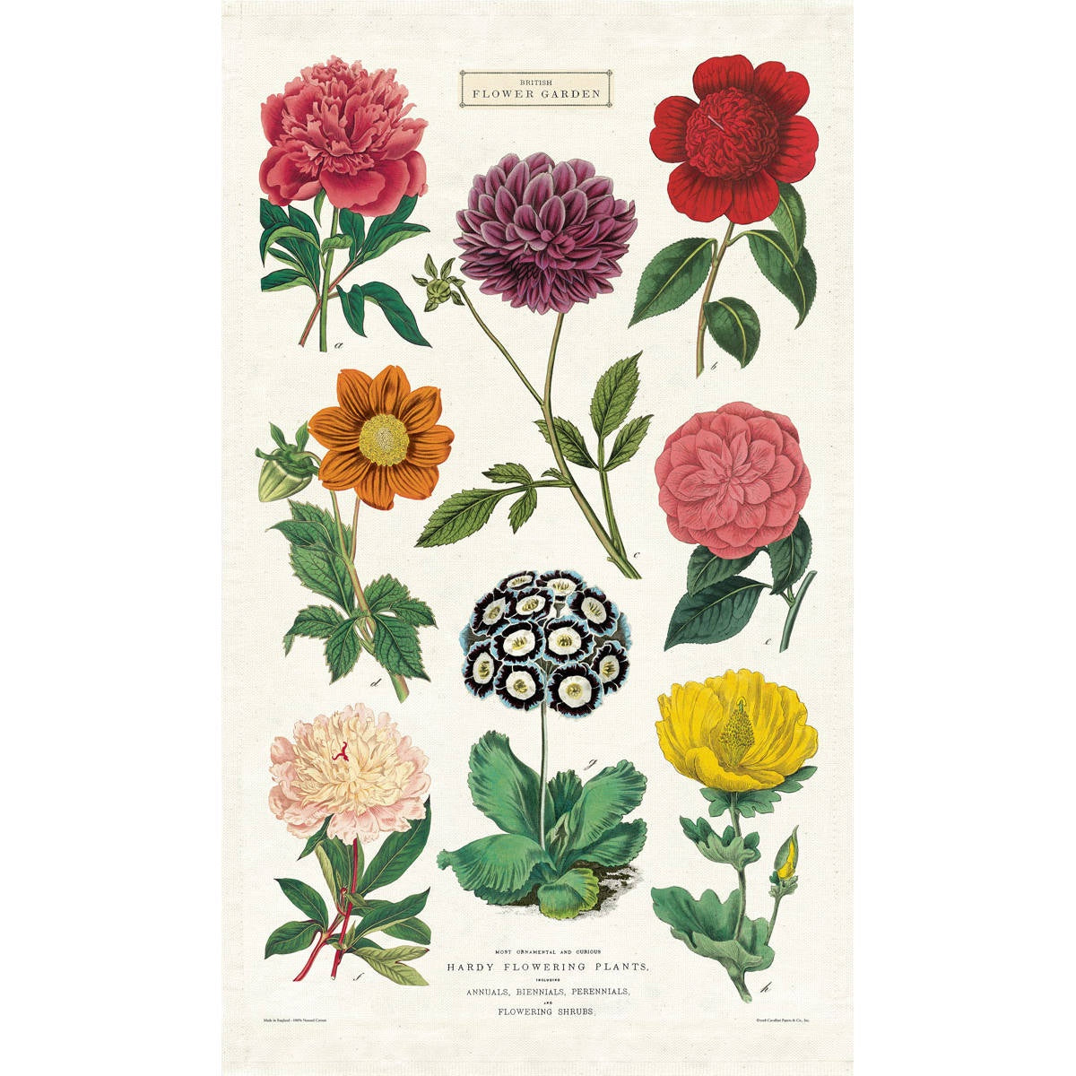 Tea Towel - Cavallini & Co. Botanica