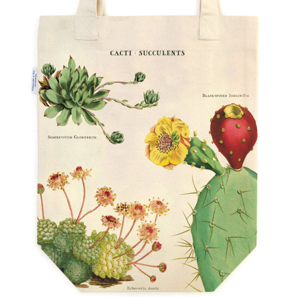 Vintage Tote Bag - Cavallini & Co. Succulents