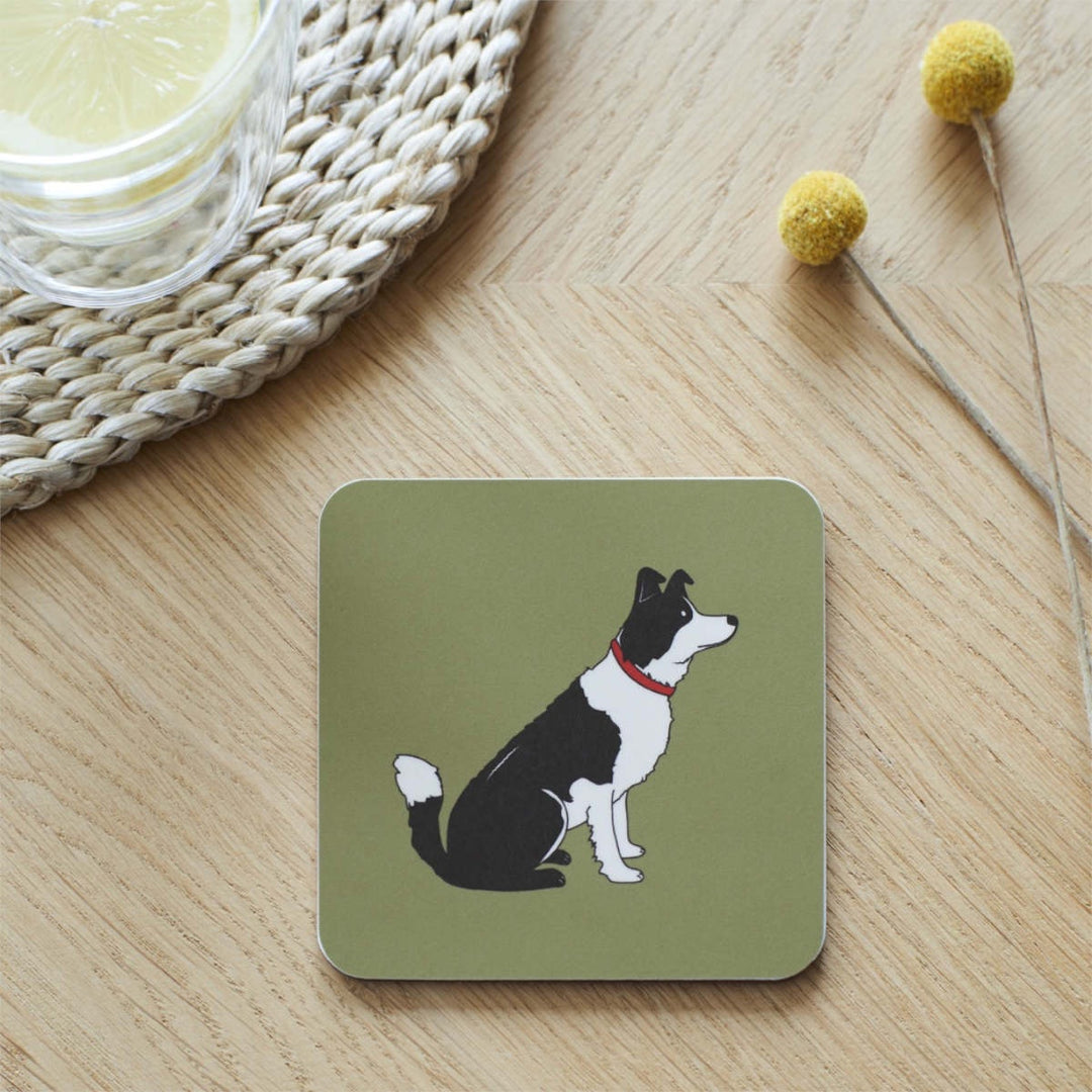 Single Coaster - Border Collie