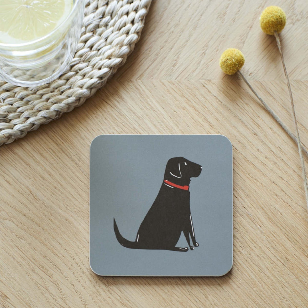 Single Coaster - Black Labrador