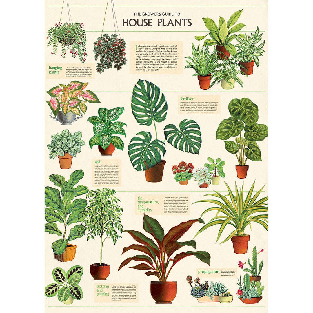 House Plants Poster