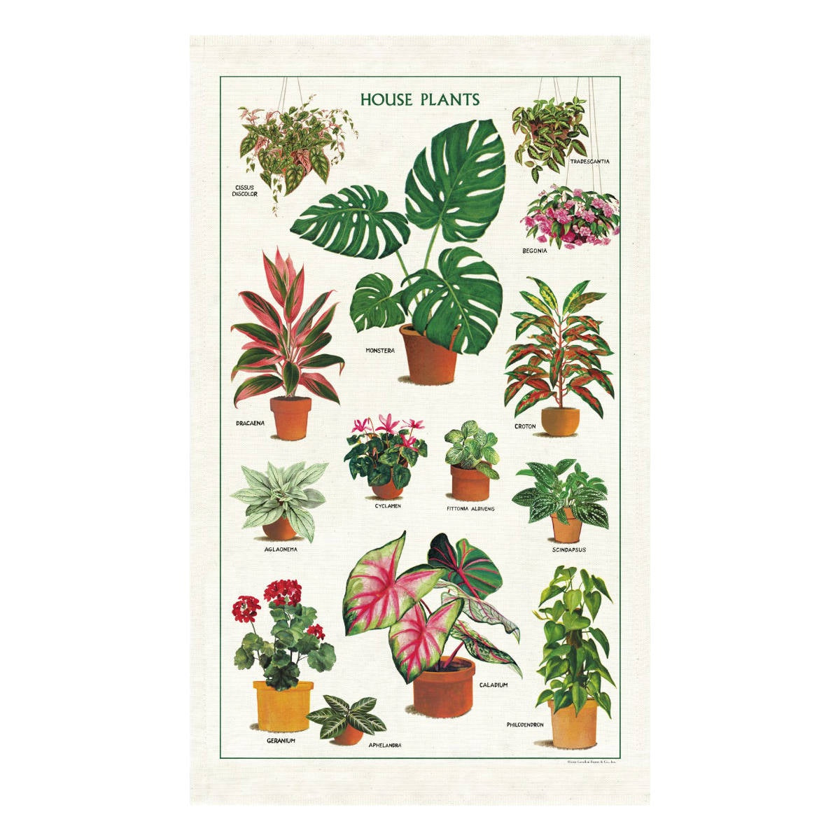 Tea Towel - Cavallini & Co. Houseplants