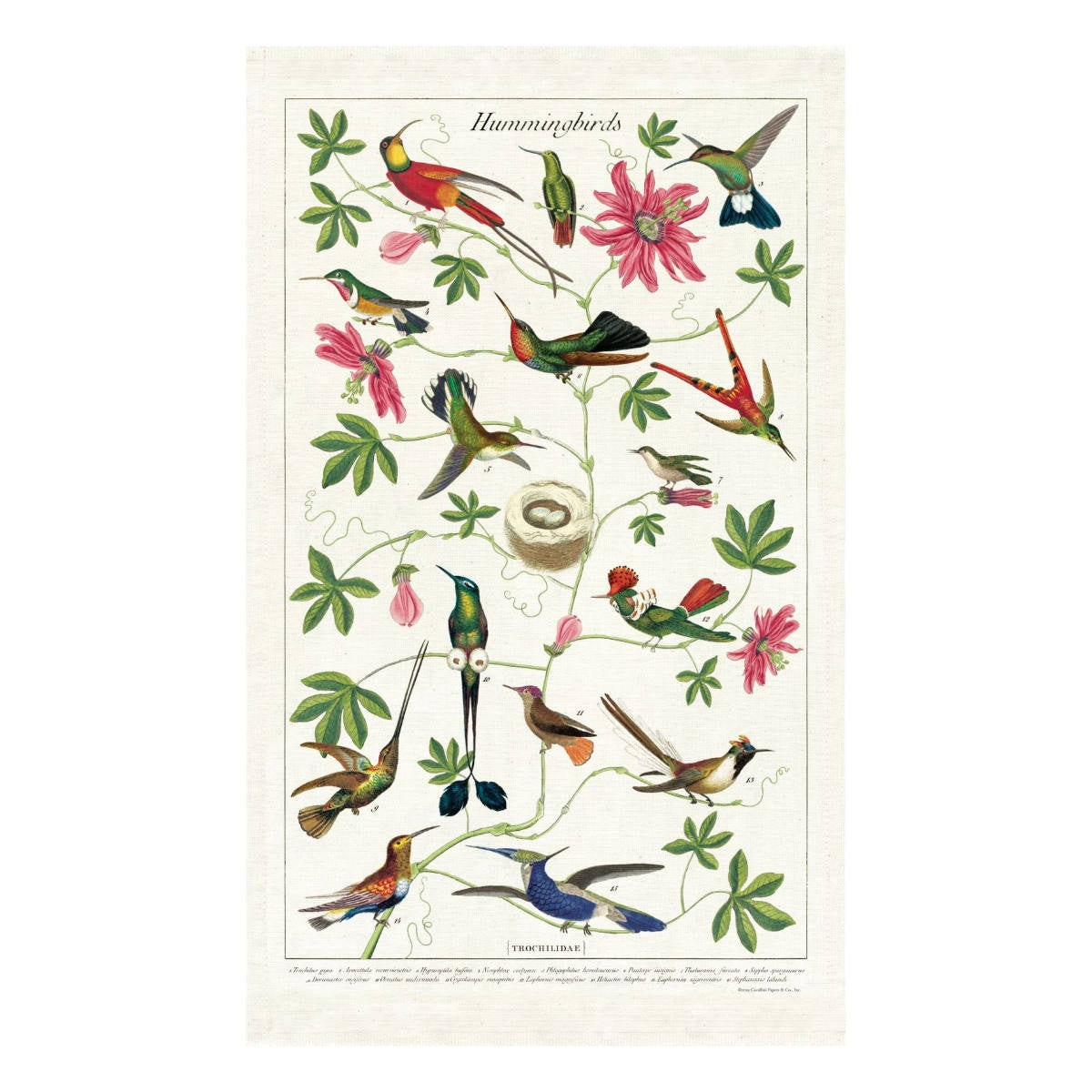 Tea Towel - Cavallini & Co. Hummingbirds