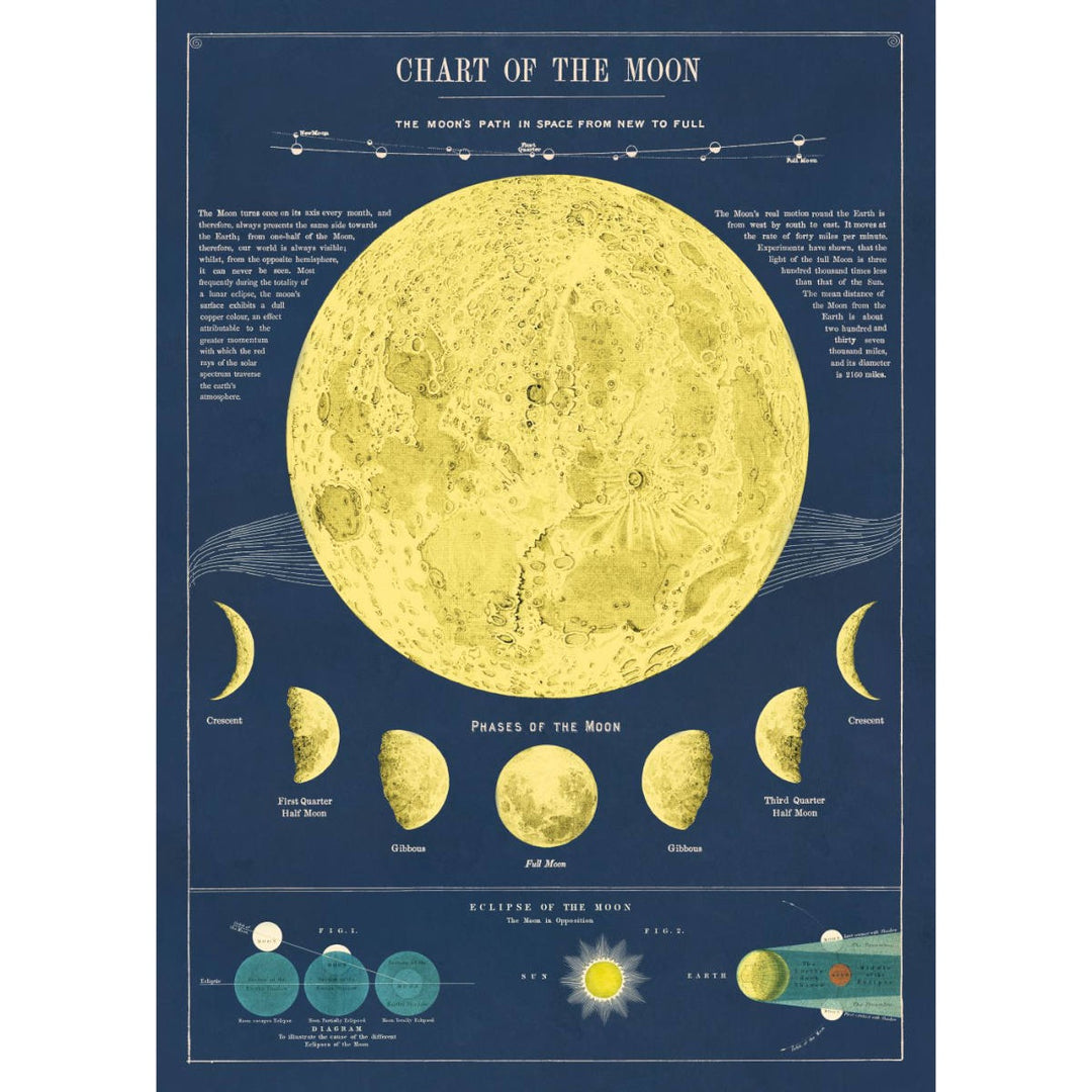 Moon Chart Poster