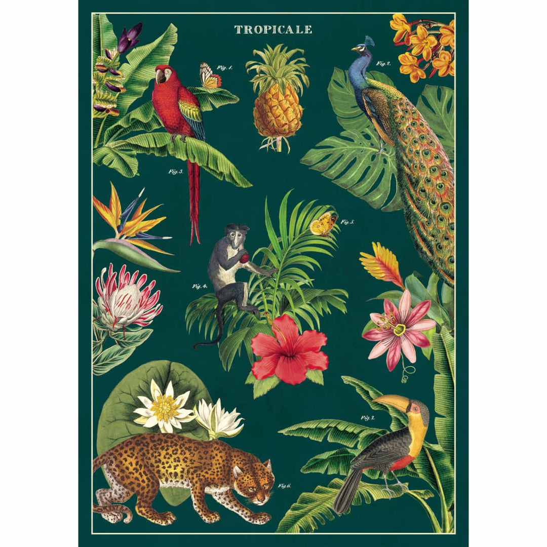 Tropicale Poster