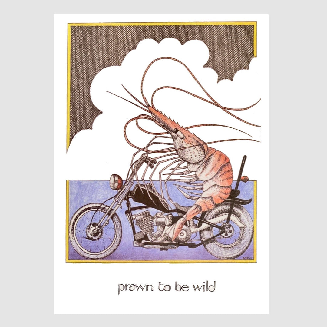 Simon Drew Card -  Prawn to be Wild