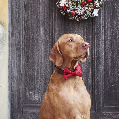 Dog Bow Tie - Christmas Red Velvet - Sweet William