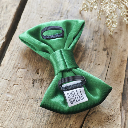 Dog Bow Tie - Christmas Green Velvet - Sweet William