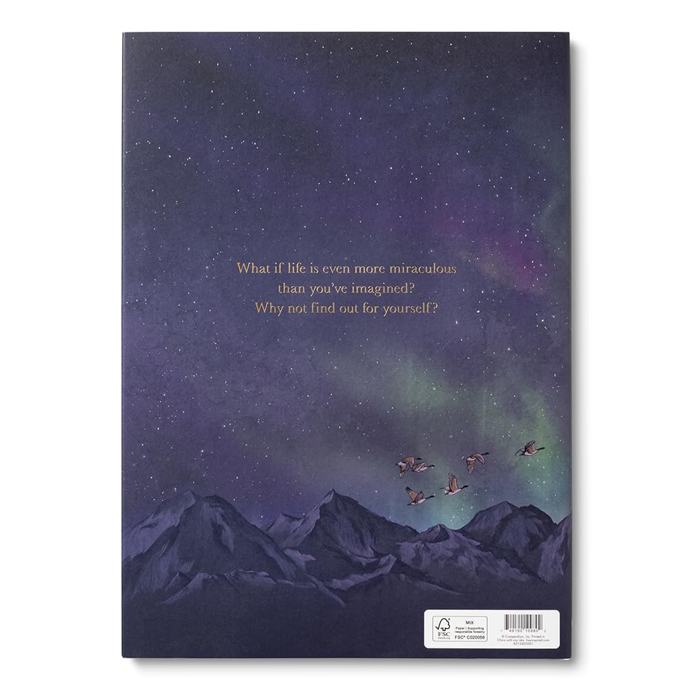 Book - Why Not? by Kobi Yamada