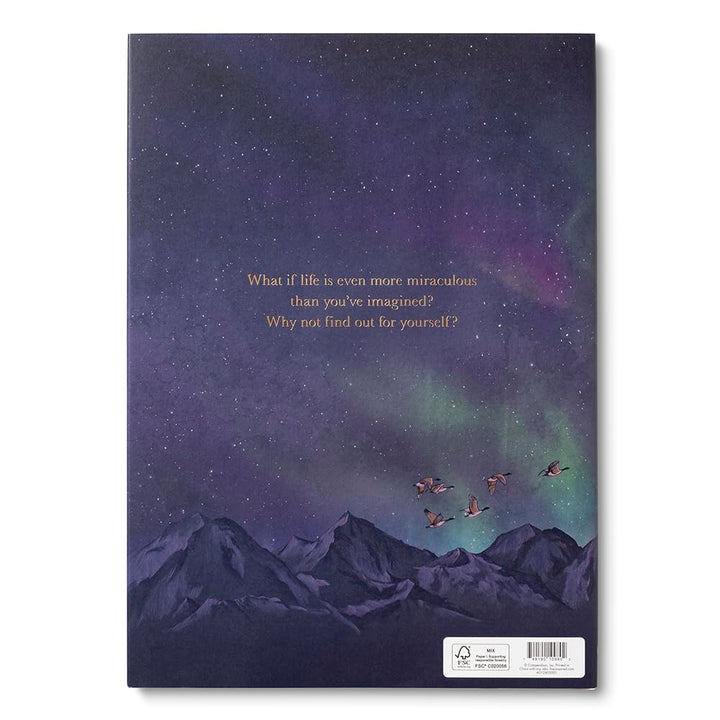 Book - Why Not? by Kobi Yamada