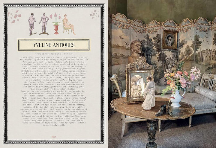 Book - Timeless Paris